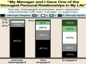 Gallup Mgmt Graph