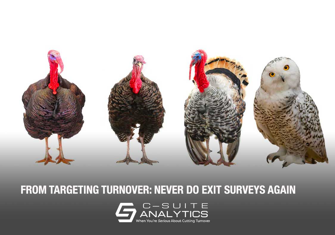 3 Best-Practice Turkeys + 1 Wise-Owl Idea.